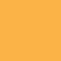 The Forager Enthusiast Design